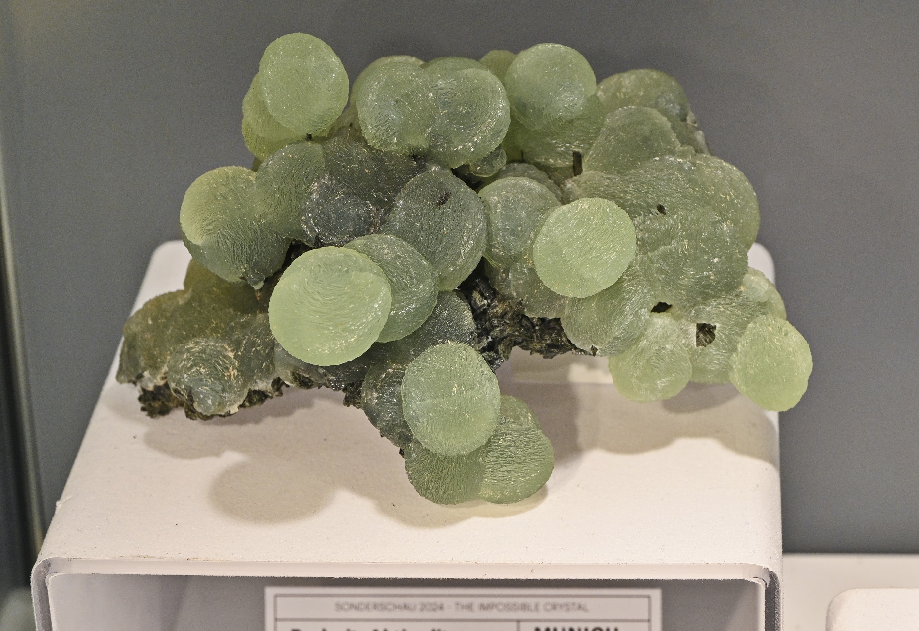 "Perfection in Spheres" - Prehnite, Aktinolite
